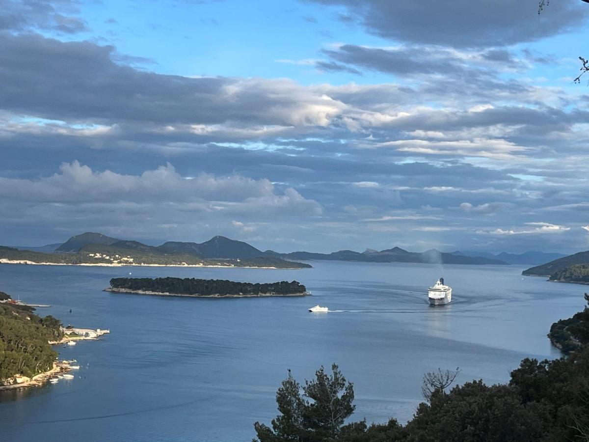 View Dubrovnik Διαμέρισμα Εξωτερικό φωτογραφία